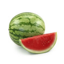 vodní meloun