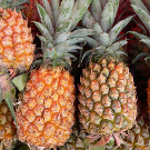 ananas