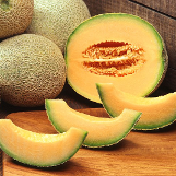 cantaloup