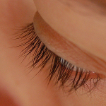 eyelash