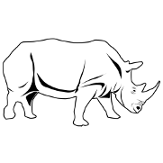 rhinocéros