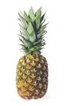 Une image illustrant le mot anglais pineapple.